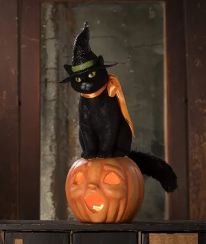 Black Cat Witch on Jack O'Lantern